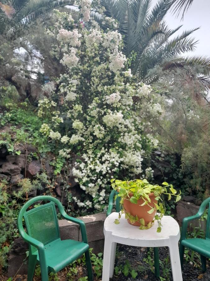 شقة -The Garden - لاس بالماس دي غران كاناريا المظهر الخارجي الصورة
